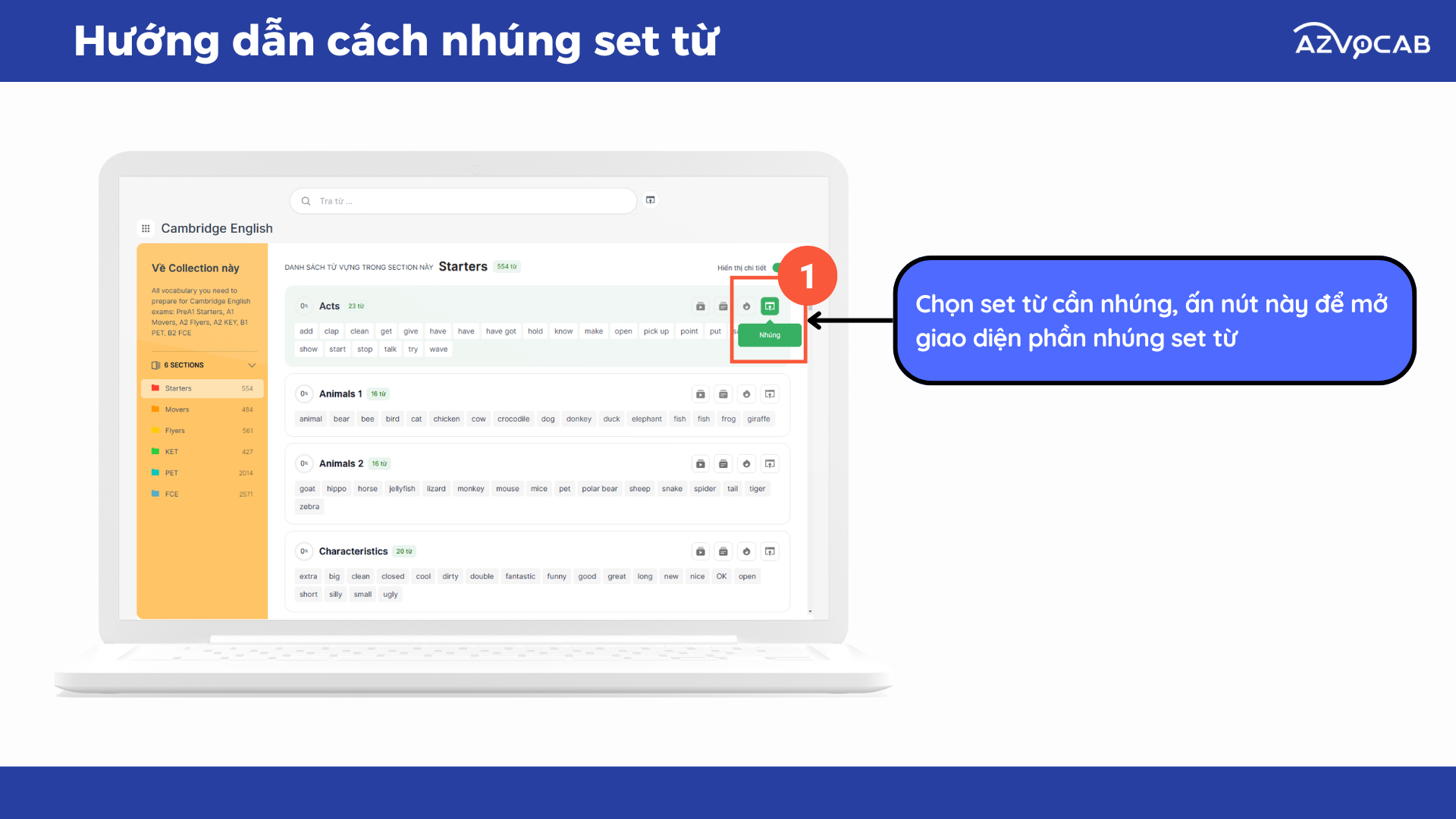 cách nhúng set từ