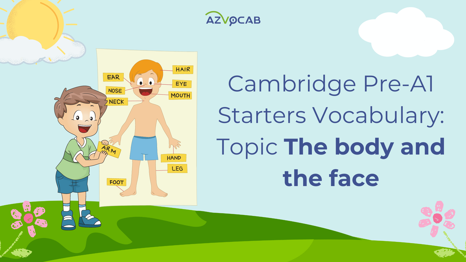 Starters Vocabulary The body and the face