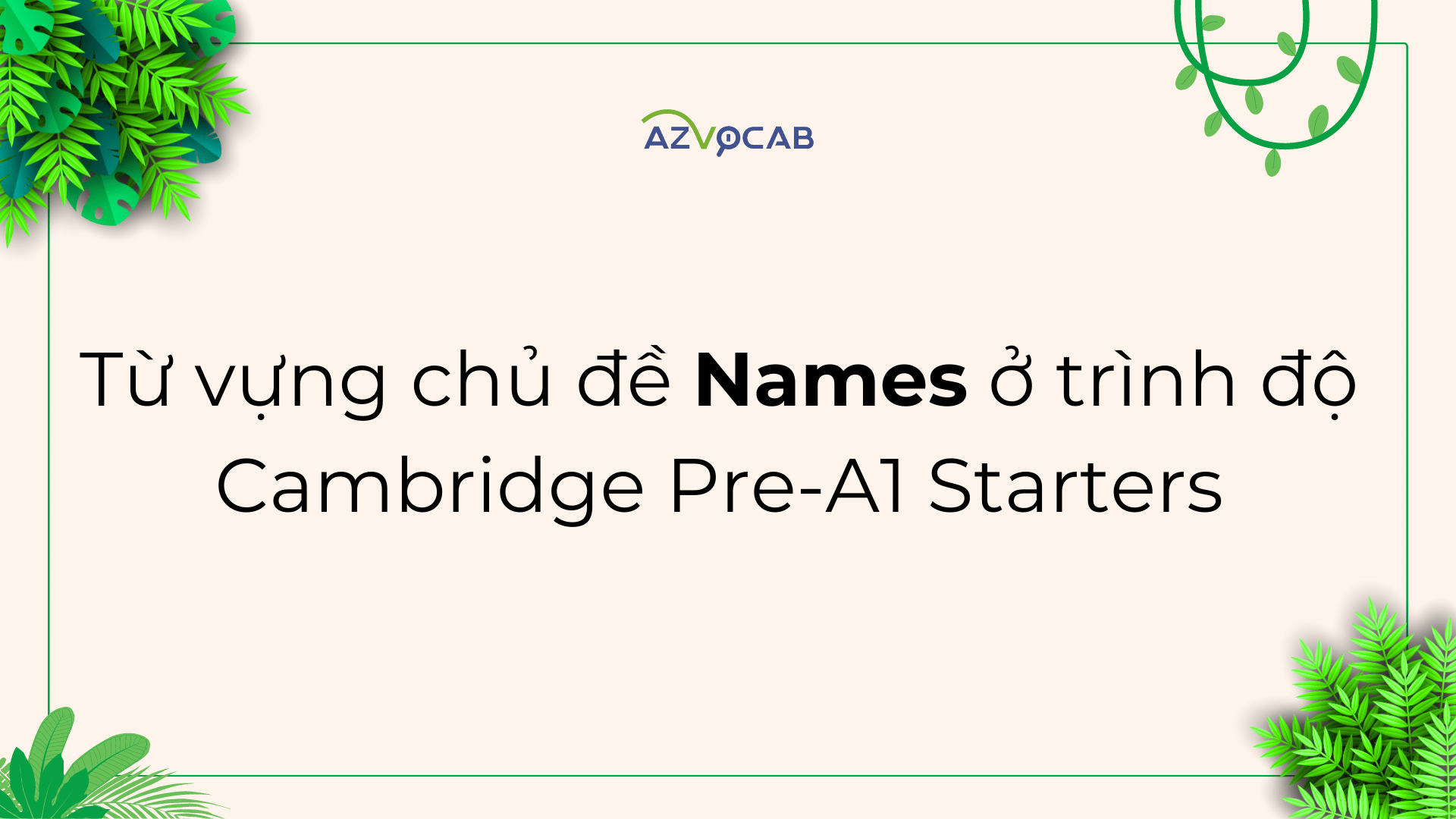 Từ vựng Starters Names
