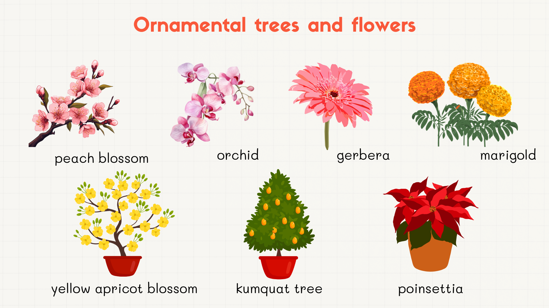  Ornamental trees and flowers