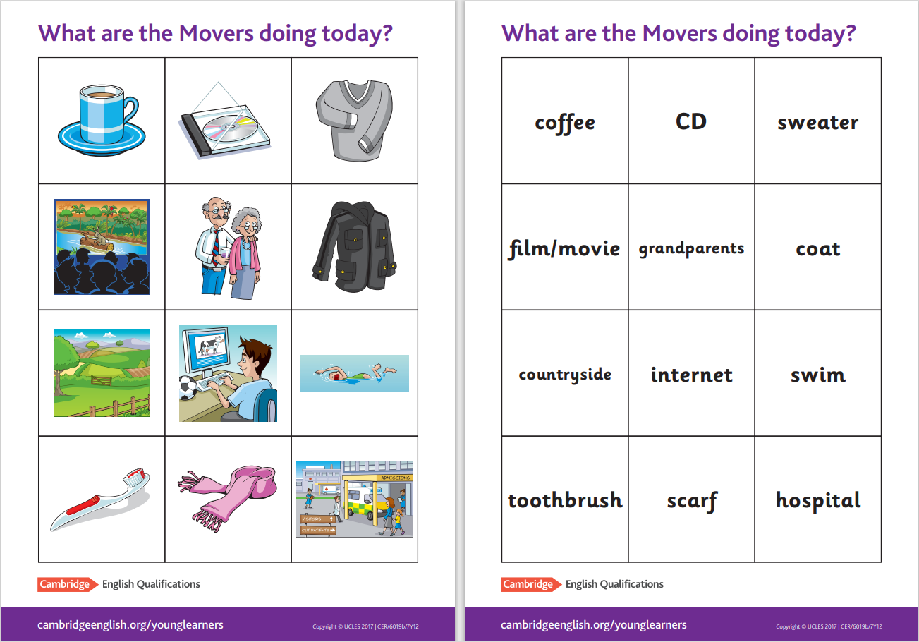 Movers flashcards