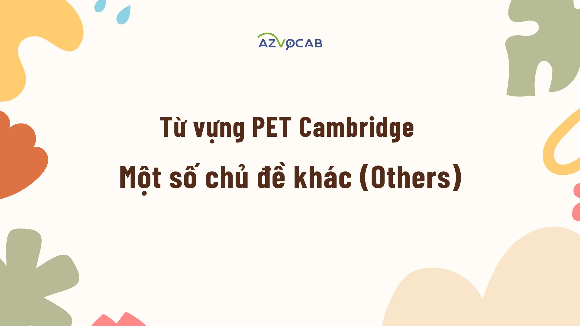 Từ vựng PET Cambridge Một số chủ đề khác (Others)