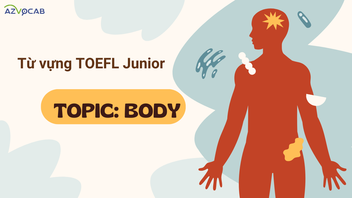 Từ vựng TOEFL Junior theo chủ đề Thân hình (Body)