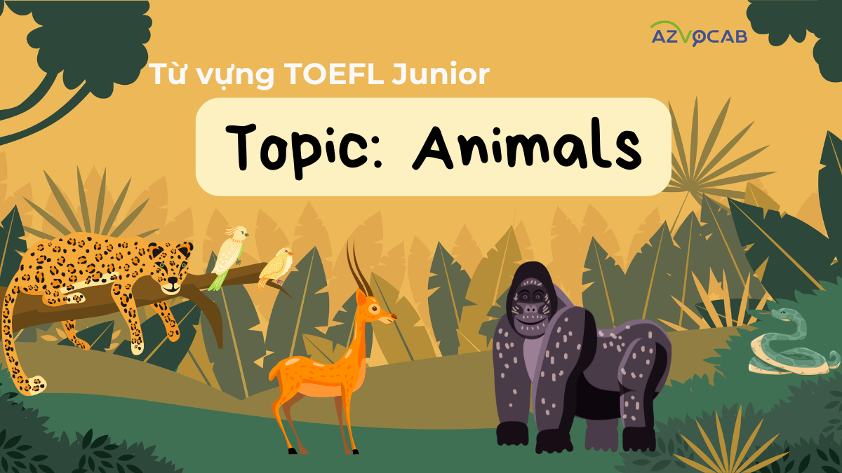 Từ vựng TOEFL Junior - Topic Animals