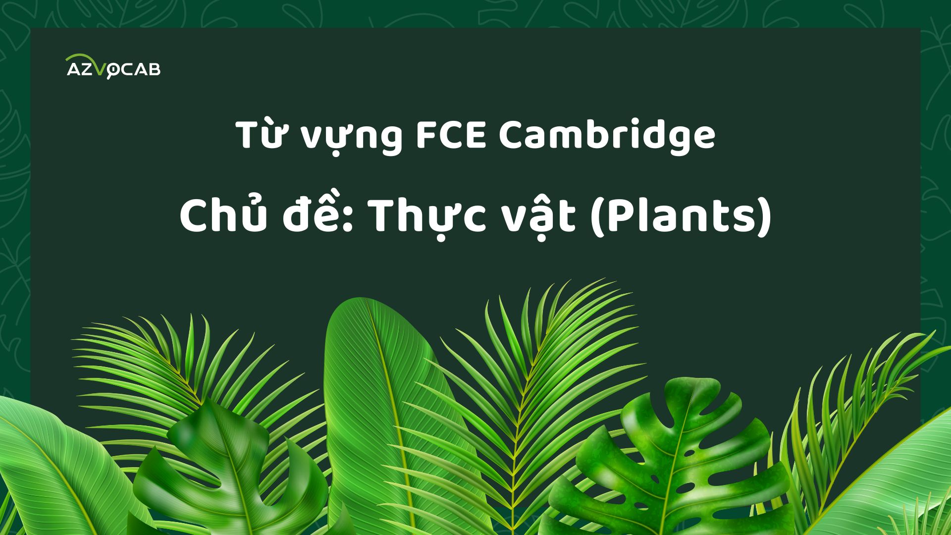 Từ vựng FCE Cambridge theo chủ đề Thực vật (Plants)