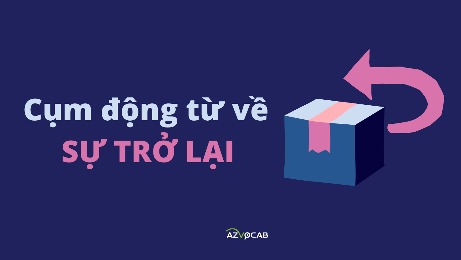 cụm động từ về sự trở lại