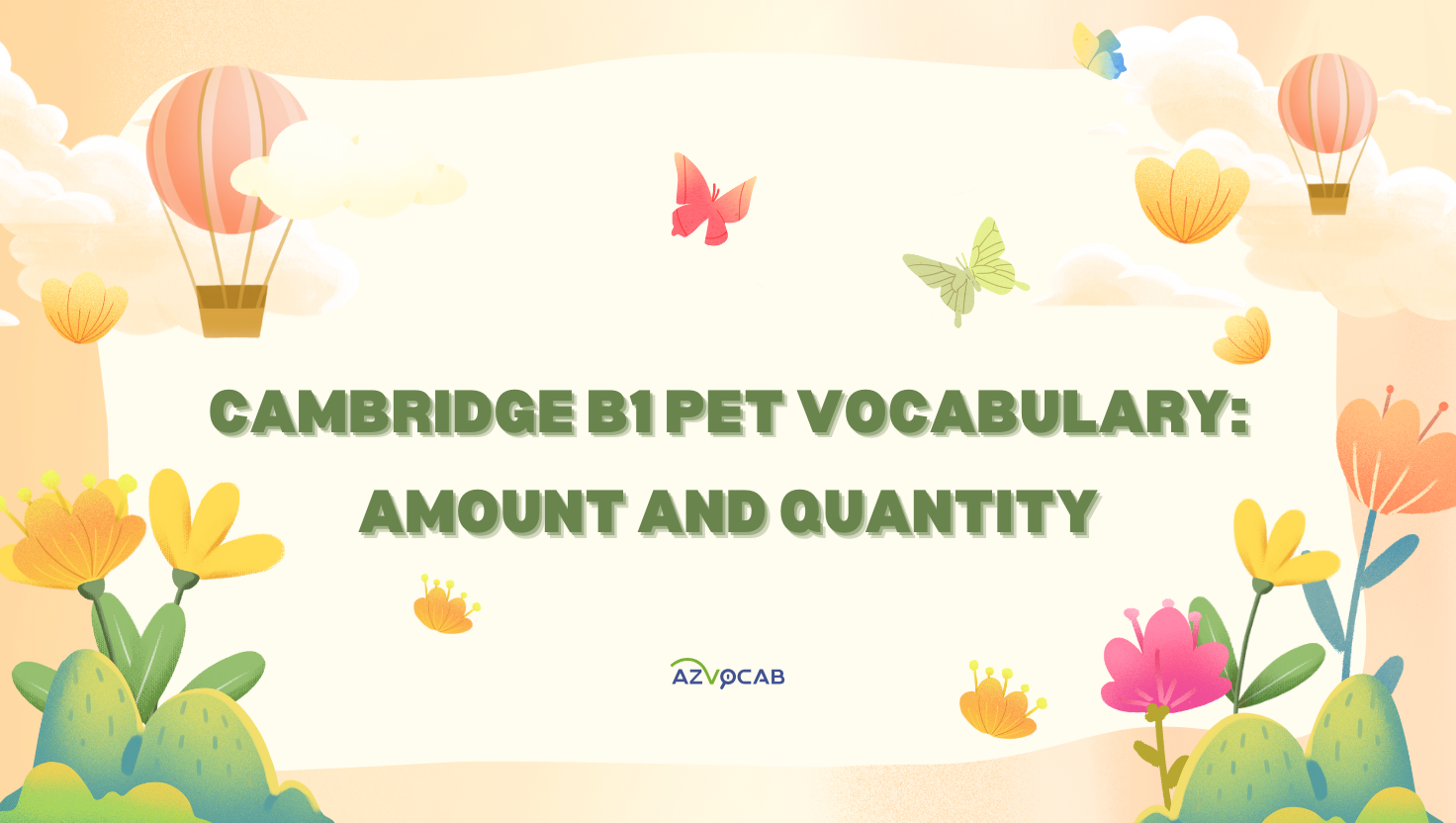 cambridge b1 pet vocabulary: amount and quantity