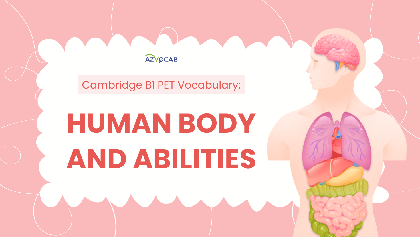 cambridge b1 pet vocabulary: human body and abilities