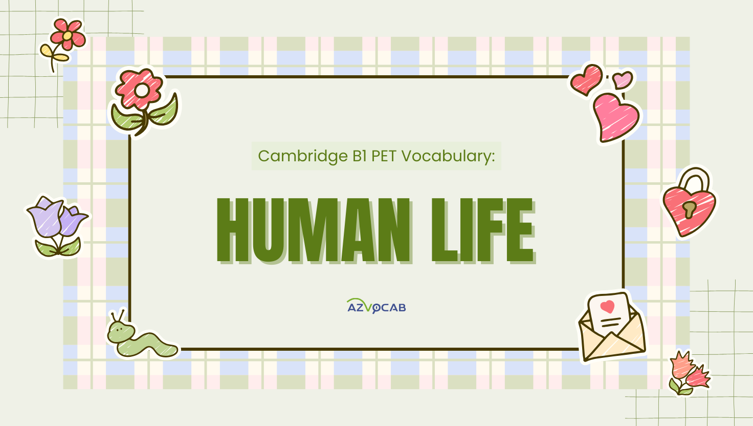 Cambridge B1 PET Vocabulary: human life
