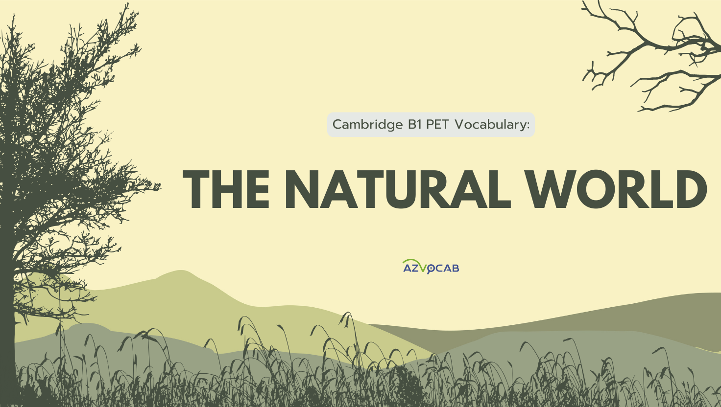 Cambridge B1 PET Vocabulary: the natural world